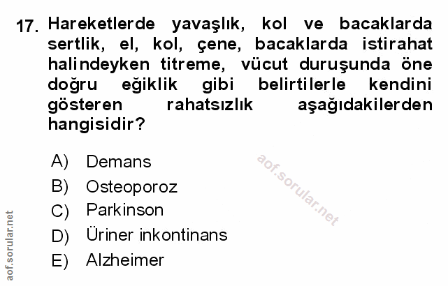 Soru 17