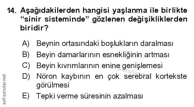 Soru 14