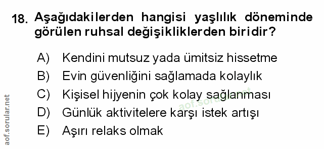 Soru 18