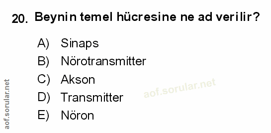 Soru 20