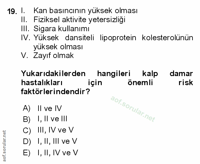 Soru 19