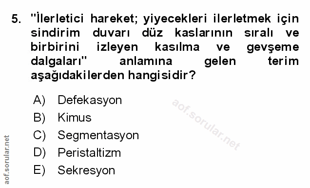 Soru 5