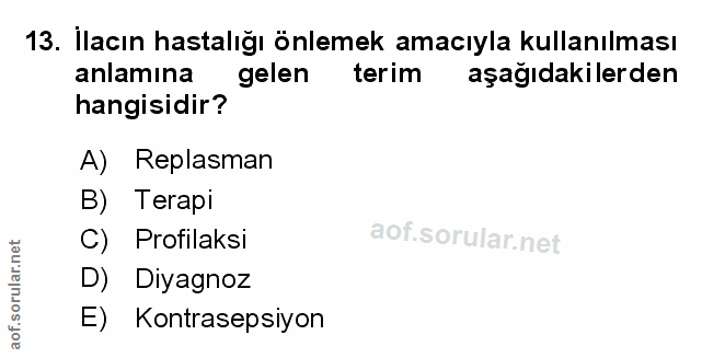 Soru 13