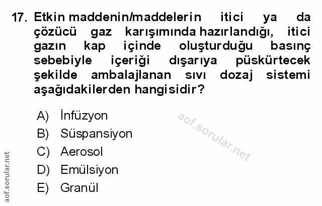 Soru 17