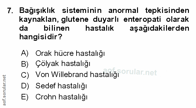 Soru 7