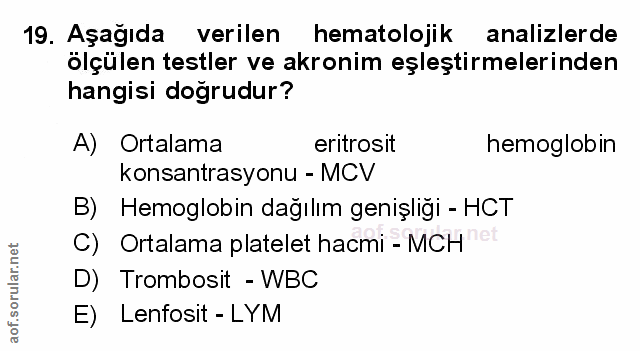 Soru 19