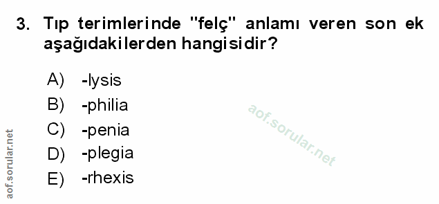 Soru 3