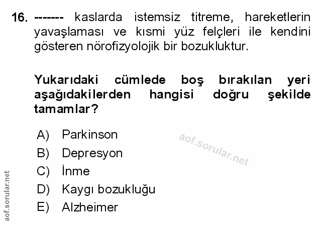 Soru 16