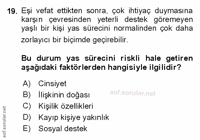 Soru 19