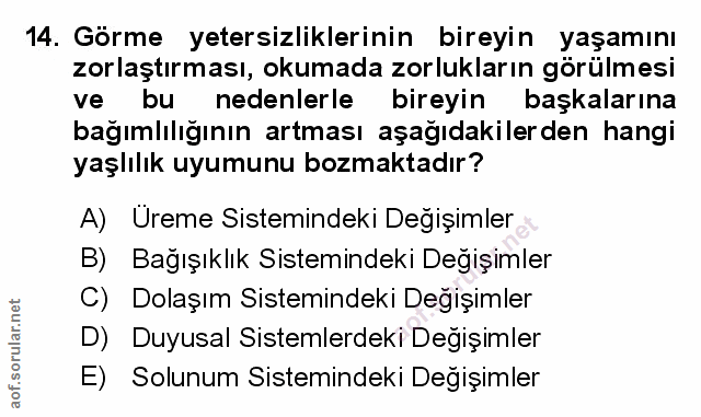Soru 14