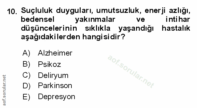 Soru 10