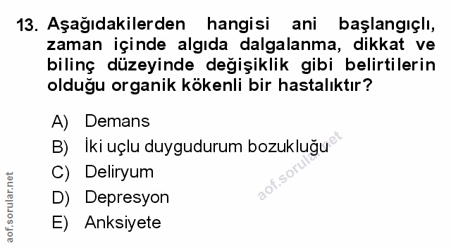 Soru 13