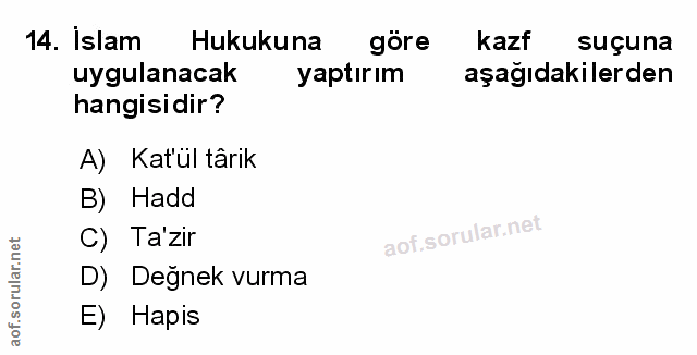 Soru 14