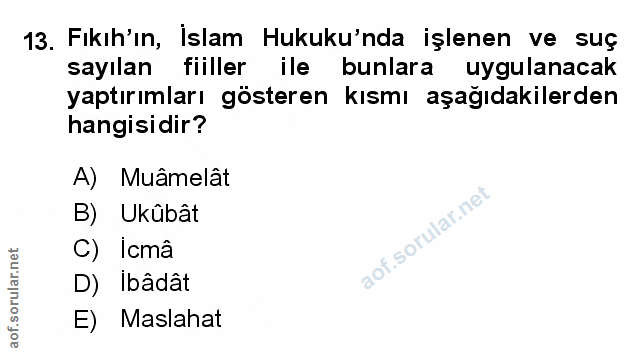 Soru 13