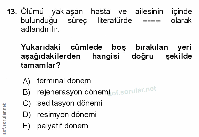 Soru 13