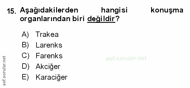 Soru 15