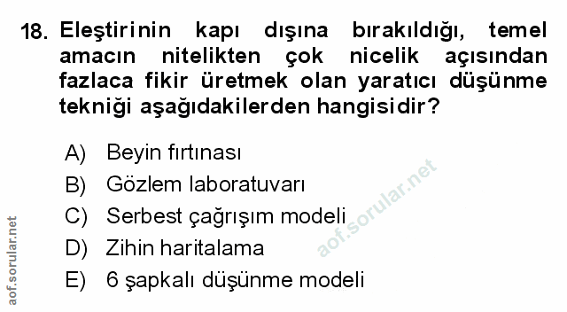 Soru 18