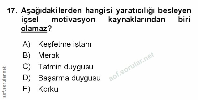 Soru 17