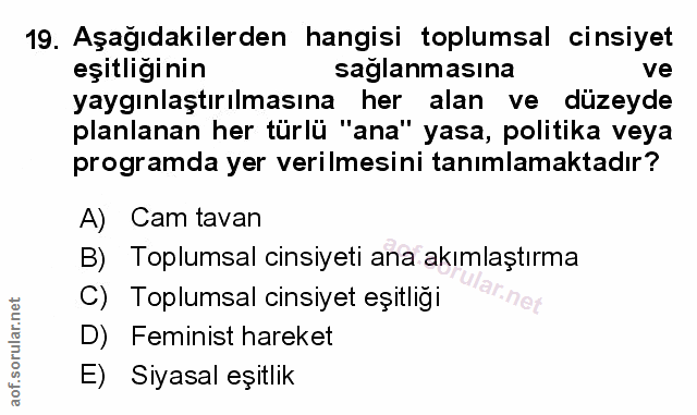 Soru 19