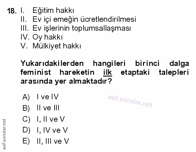 Soru 18