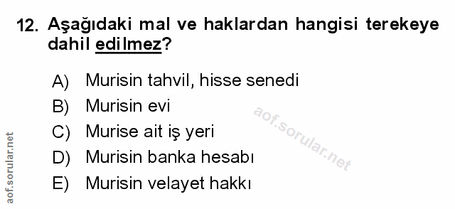 Soru 12