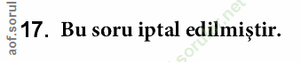 Soru 17