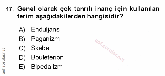 Soru 17