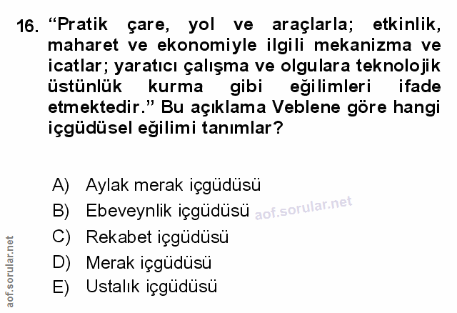 Soru 16
