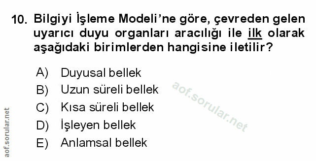 Soru 10