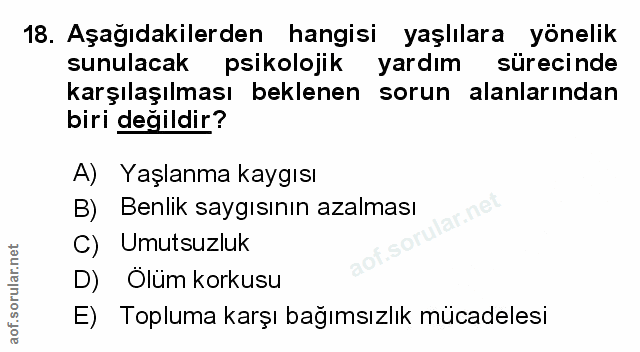 Soru 18