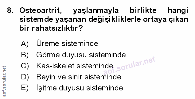 Soru 8