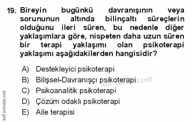 Soru 19