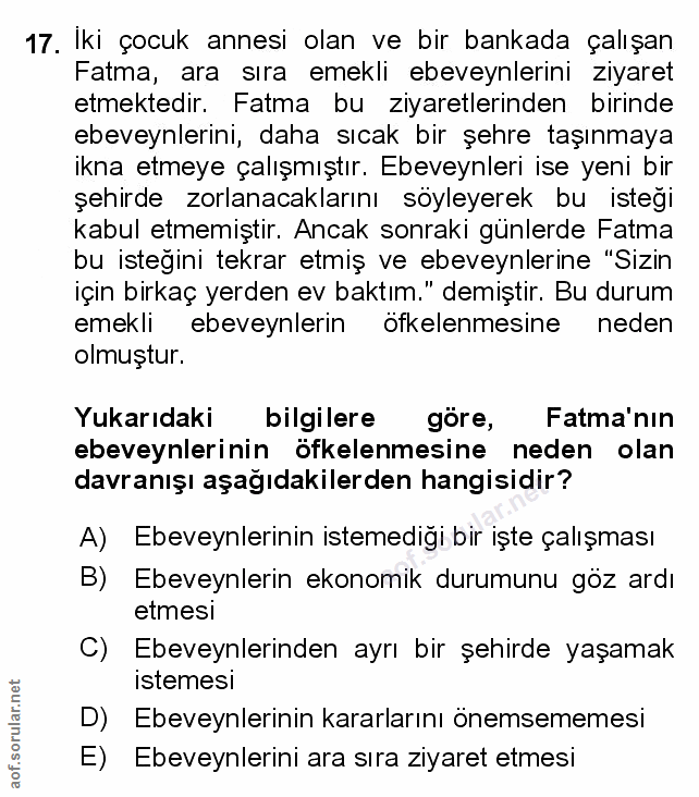 Soru 17
