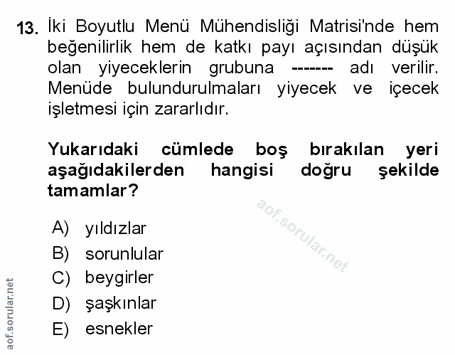 Soru 13
