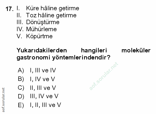 Soru 17
