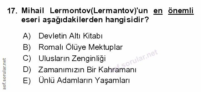 Soru 17