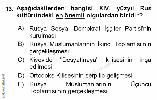 Soru 13
