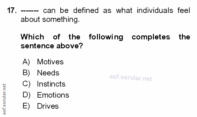 Soru 17