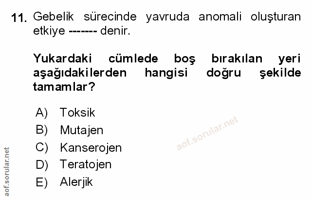 Soru 11
