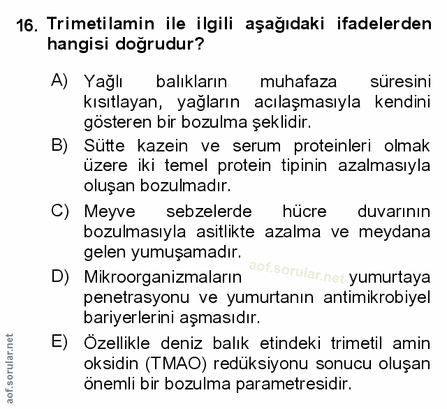 Soru 16