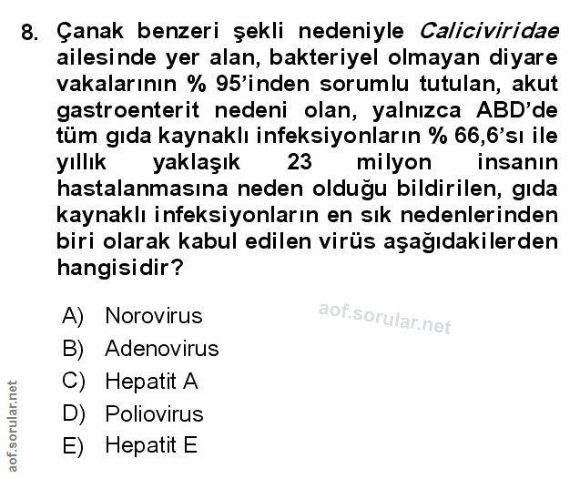 Soru 8