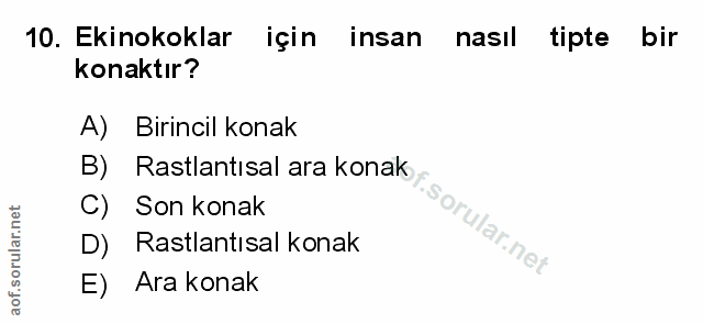 Soru 10