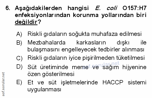 Soru 6
