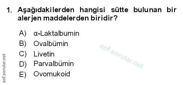 Soru 1