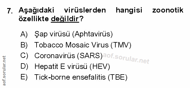 Soru 7