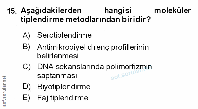 Soru 15