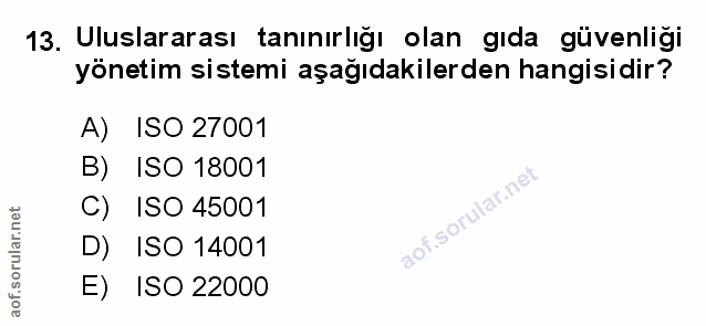 Soru 13