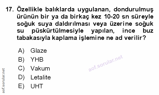 Soru 17