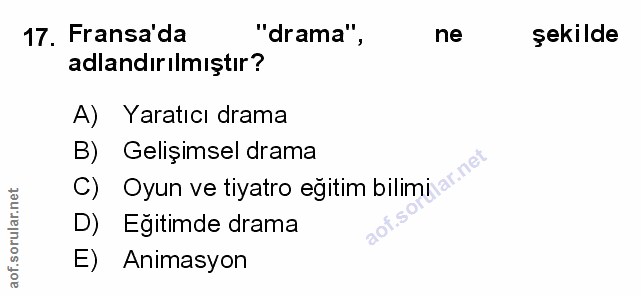 Soru 17