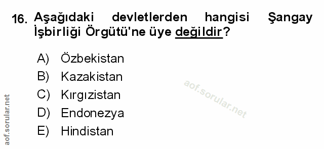 Soru 16